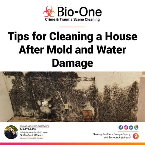 Tips for Cleaning a House After Mold and Water Damage - Bio-One of South OC