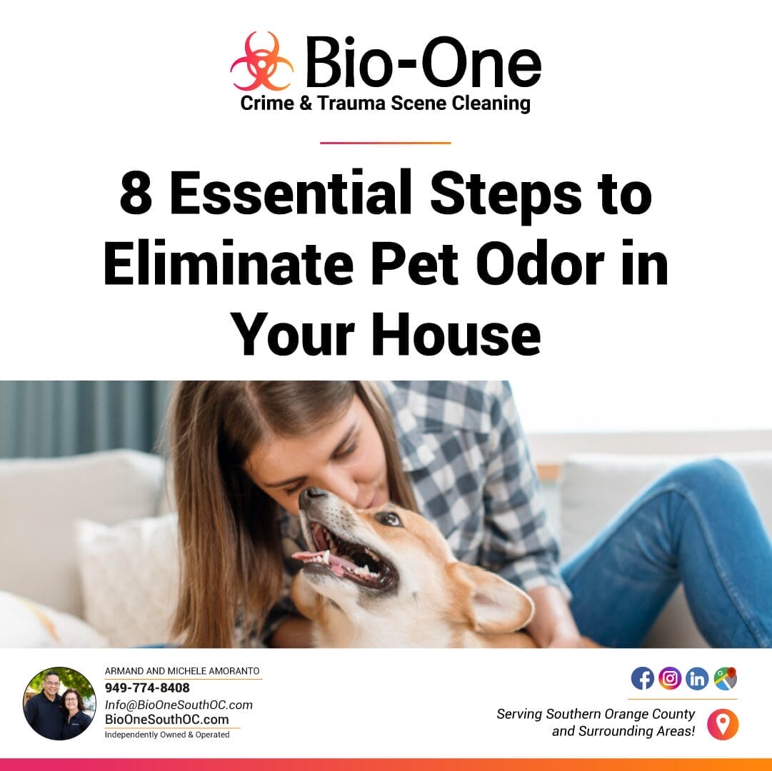 8 Essential Steps to Eliminate Pet Odor in Your House